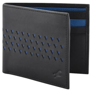Fastrack Wallets